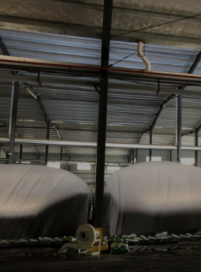 首页| 402cc永利集团中国区官方网站